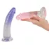 You2Toys - zestaw strap-on - 2 dildo - regulowane uprzęże