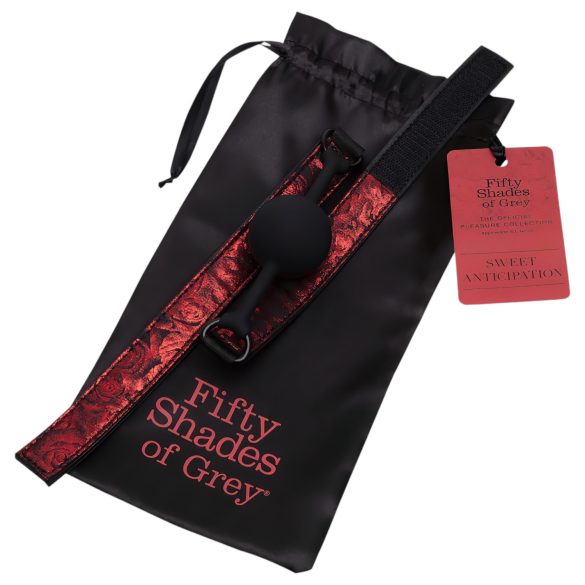 Fifty Shades of Grey - knebel do ust - regulowany - skóra czarno-czerwony