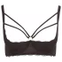 Cottelli Plus Size - biustonosz unoszący piersi z paskami i kółkami (czarny) - 90D