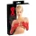 LATEX - długie rękawiczki unisex - lateksowe - czerwone - L