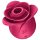 Satisfyer Pro 2 Rose - stymulator łechtaczki pulsacyjny (czerwony)