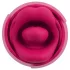 You2Toys Oral Fun - stymulator łechtaczki z języczkiem (różowy)