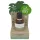 Coconutoil - olejek po depilacji i goleniu - bio - 50ml