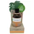 Coconutoil - olejek do opalania bio - 80ml