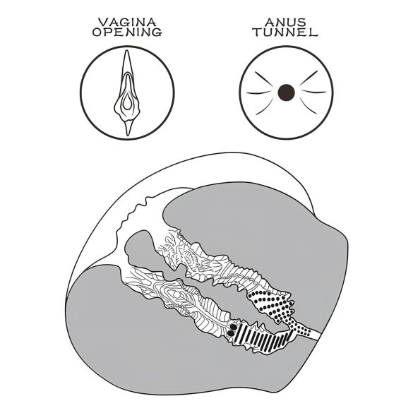 Lovetoy - masturbator męski tors i stringi - ciemny kolor naturalny