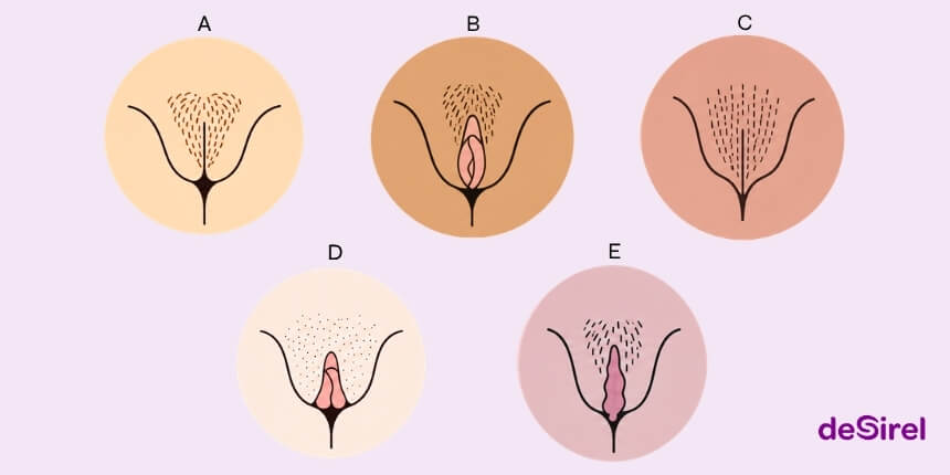 Rodzaje waginy i przewodnik po naturalnej różnorodności sromu | Desirel.pl Sex Shop